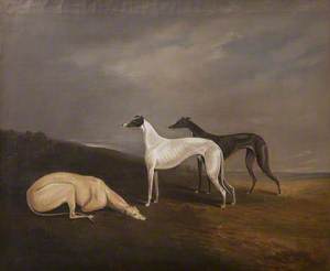 Three Greyhounds in a Landscape