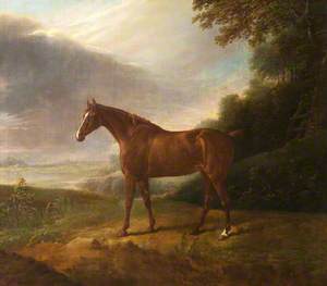 A Horse Called 'White Sorrel', in a Landscape