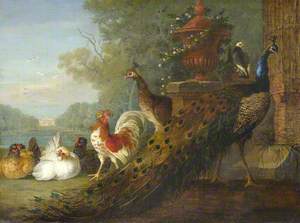 Peacock and Chickens, with a View of a House