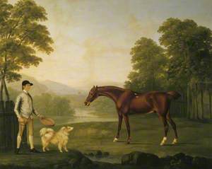A Jockey (in the Duke of Grafton's colours?) with a Chestnut Racehorse and a Pomeranian Dog in a Park