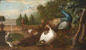 Peacocks with Duck, a Rabbit and Other Fowl in an Ornamental Garden
