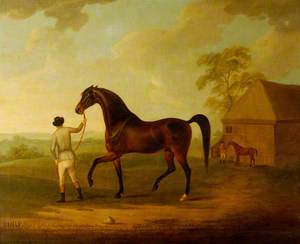 The Racehorse 'Turf' Led by a Groom
