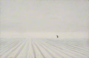 Landscape of a Snowy Ploughed Field