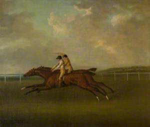 The Gold Cup, Epsom, May 1811