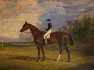 'Mundig', Winner of the Derby, 1835