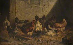 Chickens in a Farmyard
