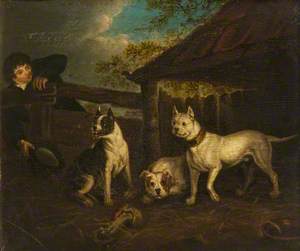 Boy with Three Bullmastiffs