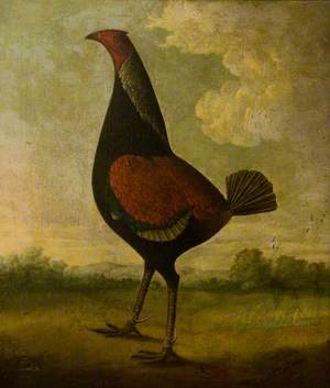A Fighting Cock in a Landscape