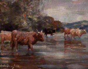 Highland Cattle in a Landscape