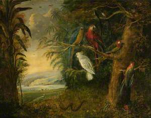 Parrots in a Forest Scene