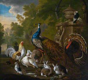 A Peacock, a Turkey and Domestic Fowl in a Garden