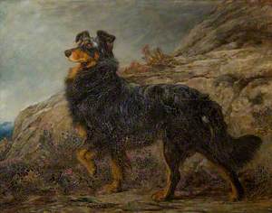 Brighton Rivière, a Collie in a Highland Landscape