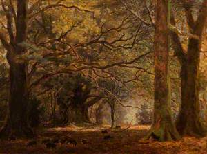 Mark Ash, near Lyndhurst, New Forest