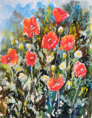 Poppies and Daisies