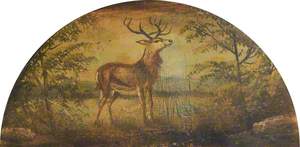 Stag on Mantelpiece