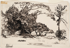 Tree and Shrubs