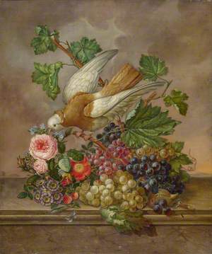 Flowers, Grapes and Dove on a Stone Ledge
