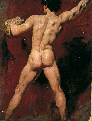 Back of Male Nude