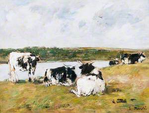 Cows on a Riverbank