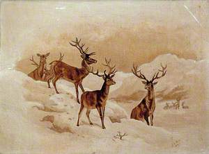 Stags in the Snow