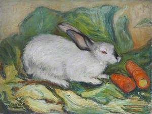 Rabbit and Carrots