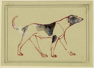 An Ancient Egyptian Dog