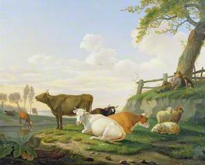 Cows and Shepherd