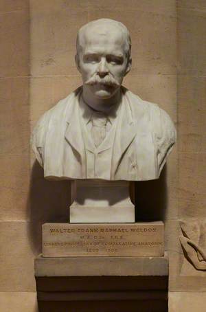 Walter Frank Raphael Weldon (1860–1906)