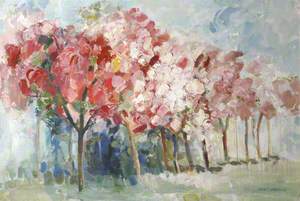 Blossom Trees