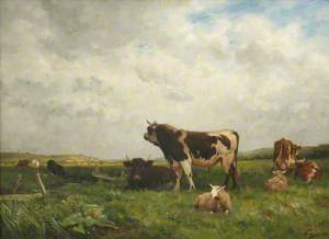 Field with Cows