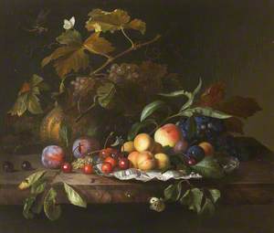 A Melon, Grapes, Apples, Peaches, Plums, Apricots, Cherries, and Insects on a Ledge