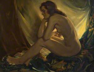 Seated Female Nude in Artificial Light