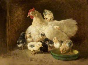 Hen with Chickens