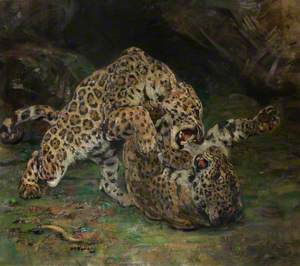 Jaguars at Play