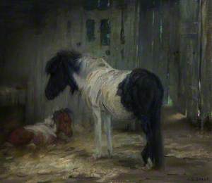 Shetland Mare and Foal