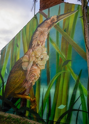 The Bove Town Bittern