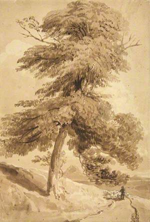Study of a Tree, with Shepherd and Sheep