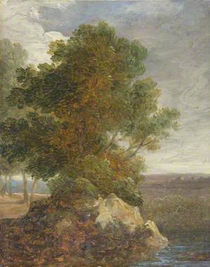 Landscape with a Tree and Rock in the Foreground