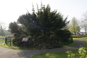 Memorial to 'Warrior Birds'