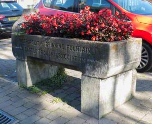 Drummond Drinking Fountain and Cattle Trough