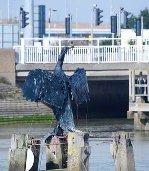 Nesting Cormorant