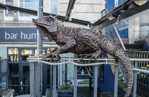 Iguana