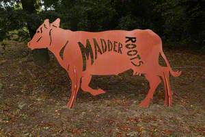 Madder Roots