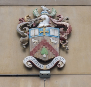 Town Coat of Arms
