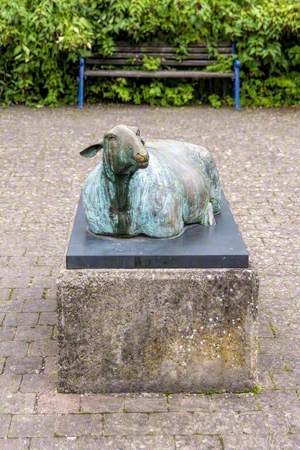 Resting Sheep