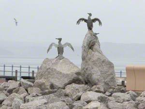 Cormorants (Rock Islands)