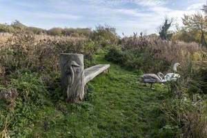Heron and Otter Benches
