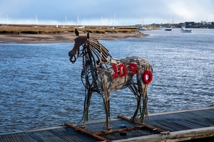 Lifeboat Horse