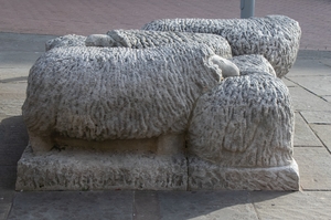 Huddle of Sheep