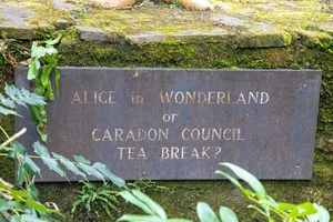 Caradon Council Tea Party – Alice in Wonderland